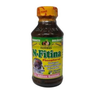 N- FETINA