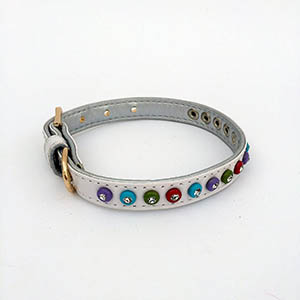 Collar mascota 1 5