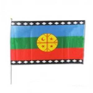 Bandera Mapuche Poliester con palo