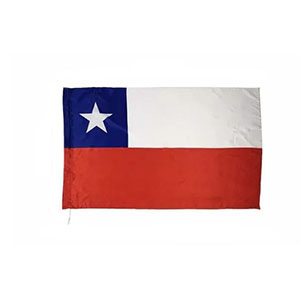 Bandera Chilena 