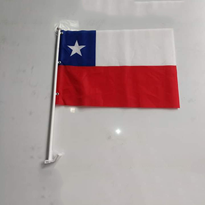 Bandera Chilena con palo