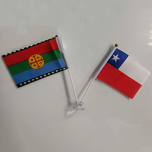 Banderas dobles con chupon
