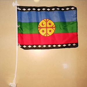Bandera Mapuche  
