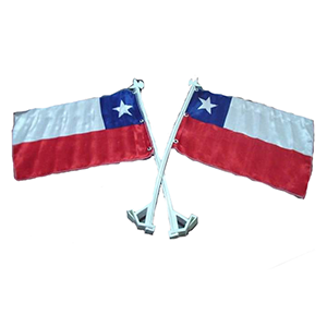 Bandera Chilena	