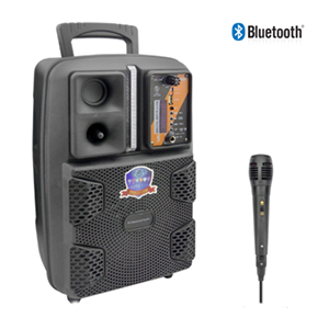 Parlante Bluetooth Karaoke 8